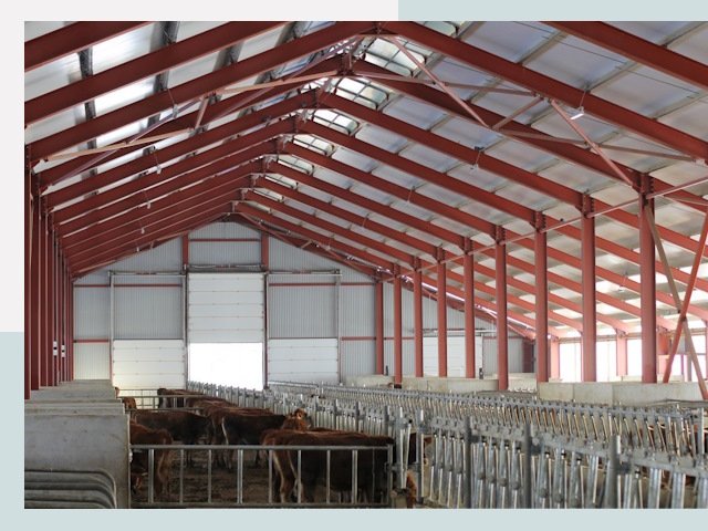 Строительство коровников в Амурске