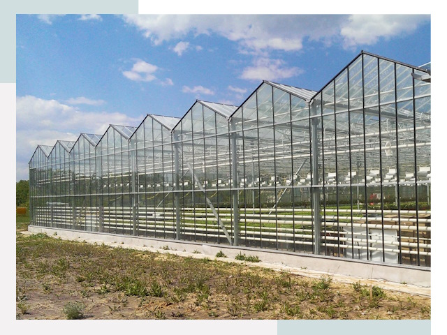 Строительство теплиц в Амурск от 620 руб. за м²