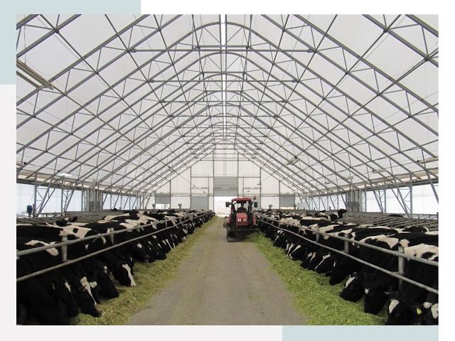 Тентовые коровники в Амурске от 620 руб. - Надежно и доступно